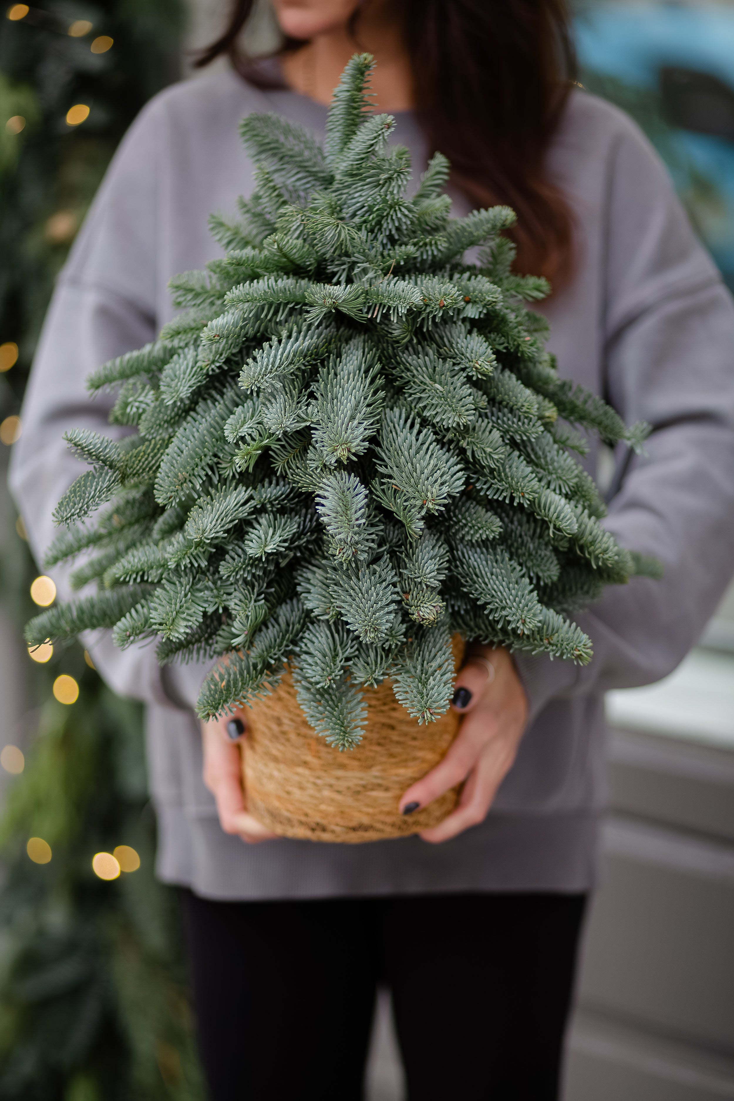 Weihnachtsbaum ohne Deko