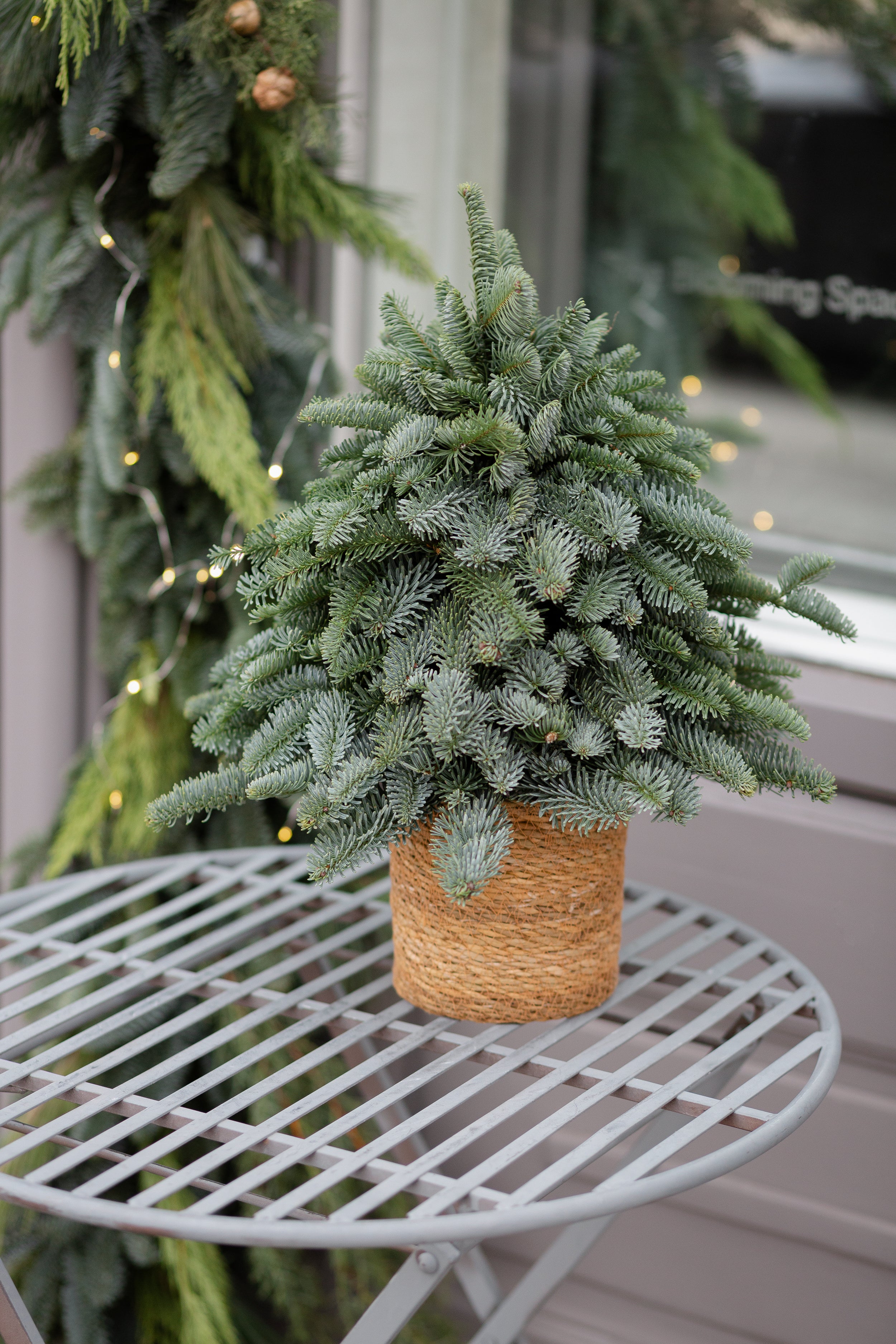 Weihnachtsbaum ohne Deko