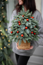 Weihnachtsbaum mit Deko