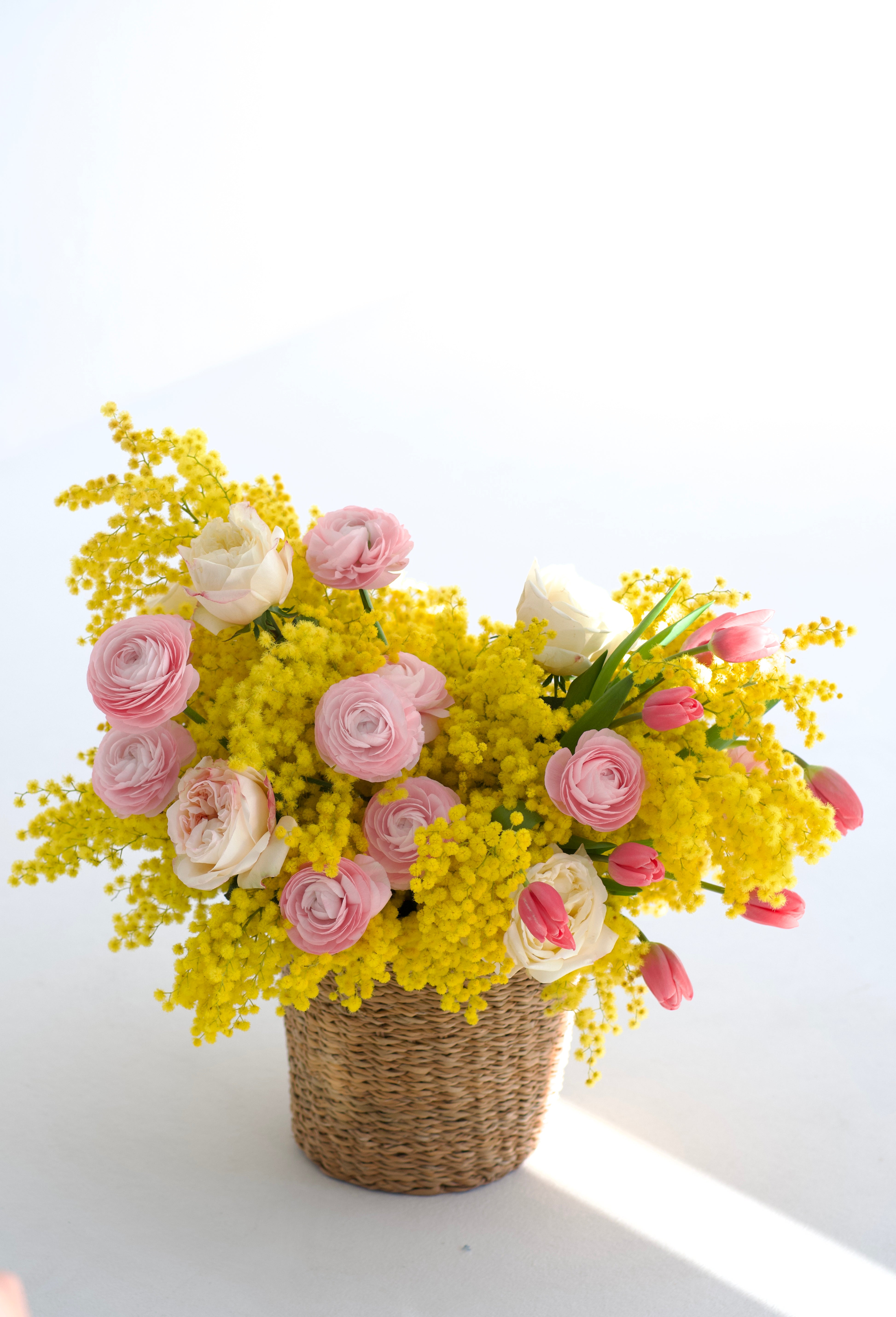 Mimosa dream basket
