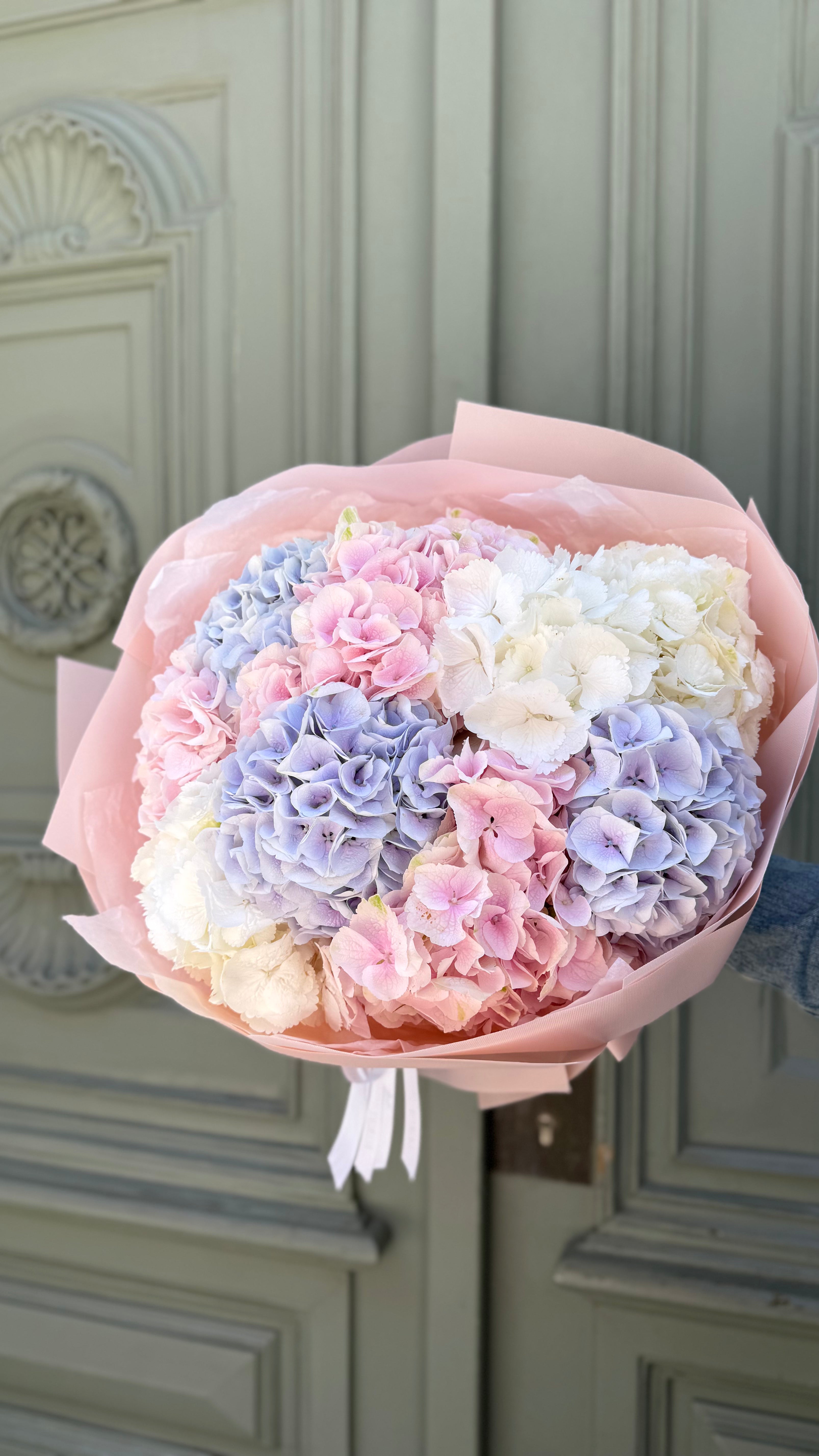 Mono hydrangea