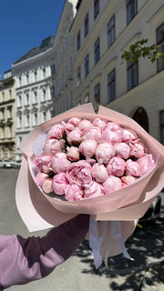 The pink peonies