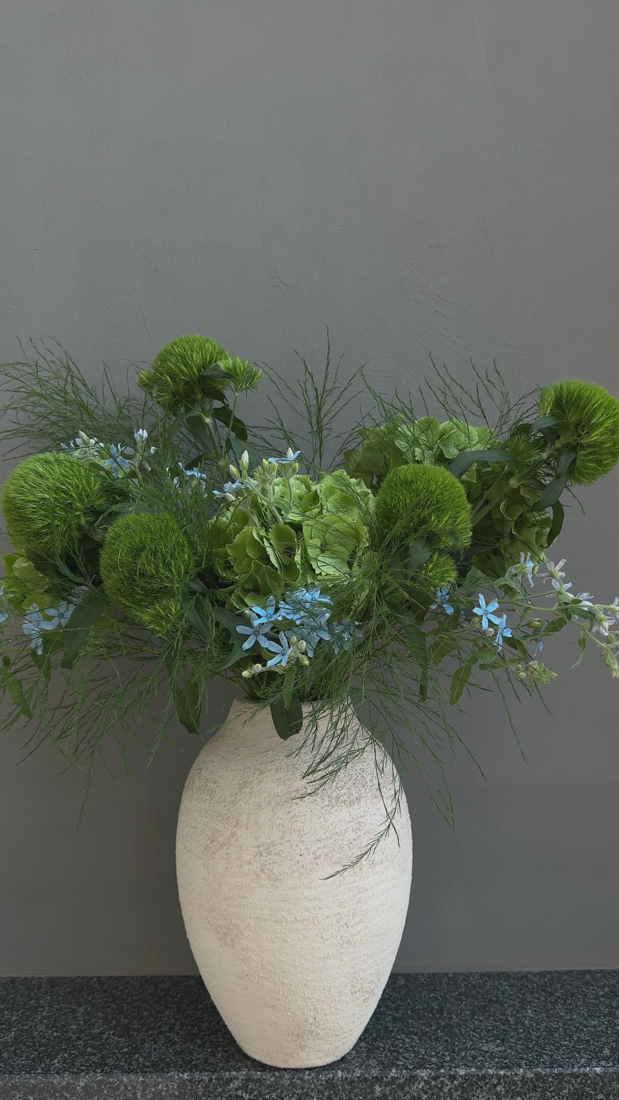 Video laden: Green Forest