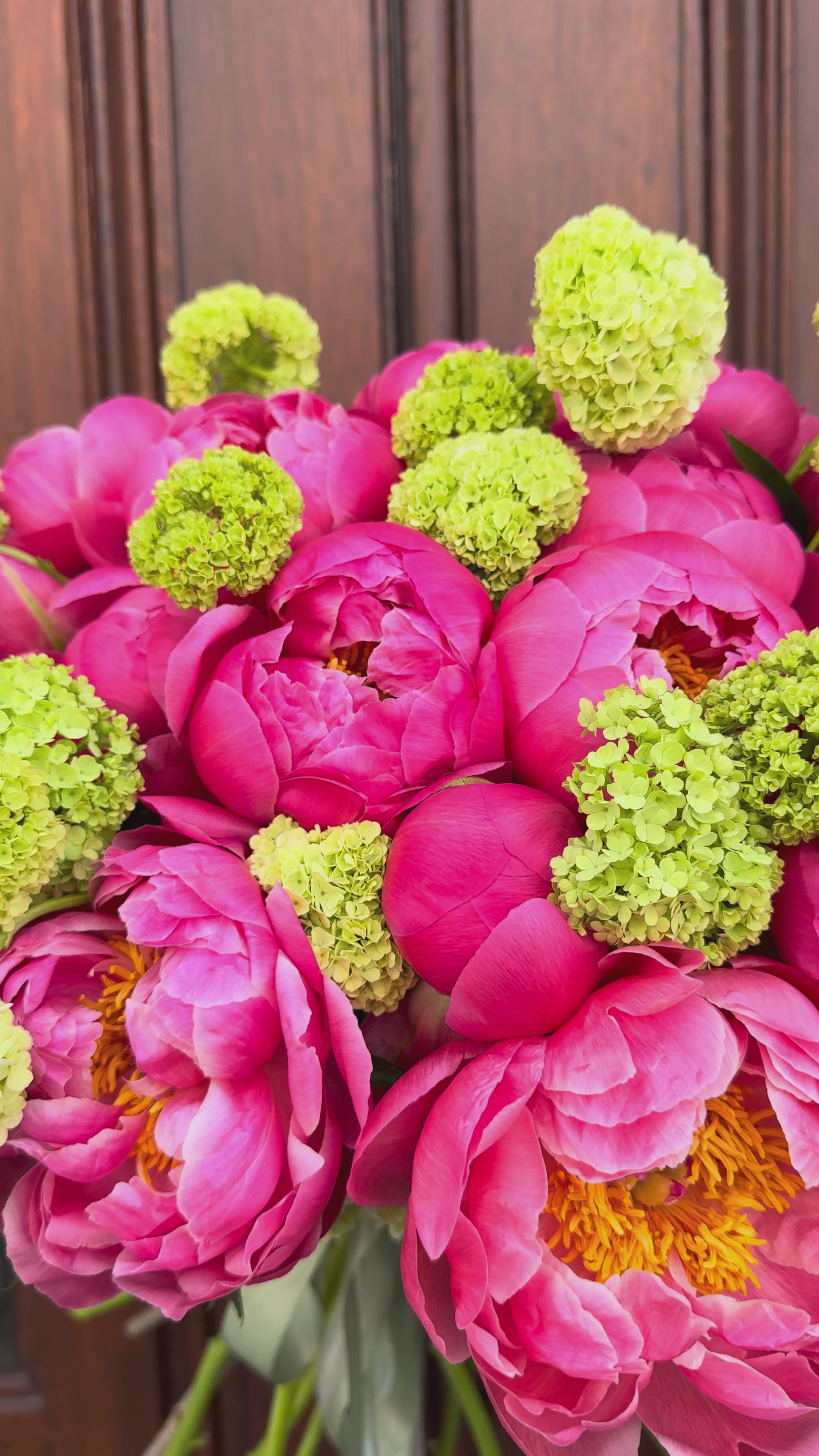 Video laden: Coral charm in M