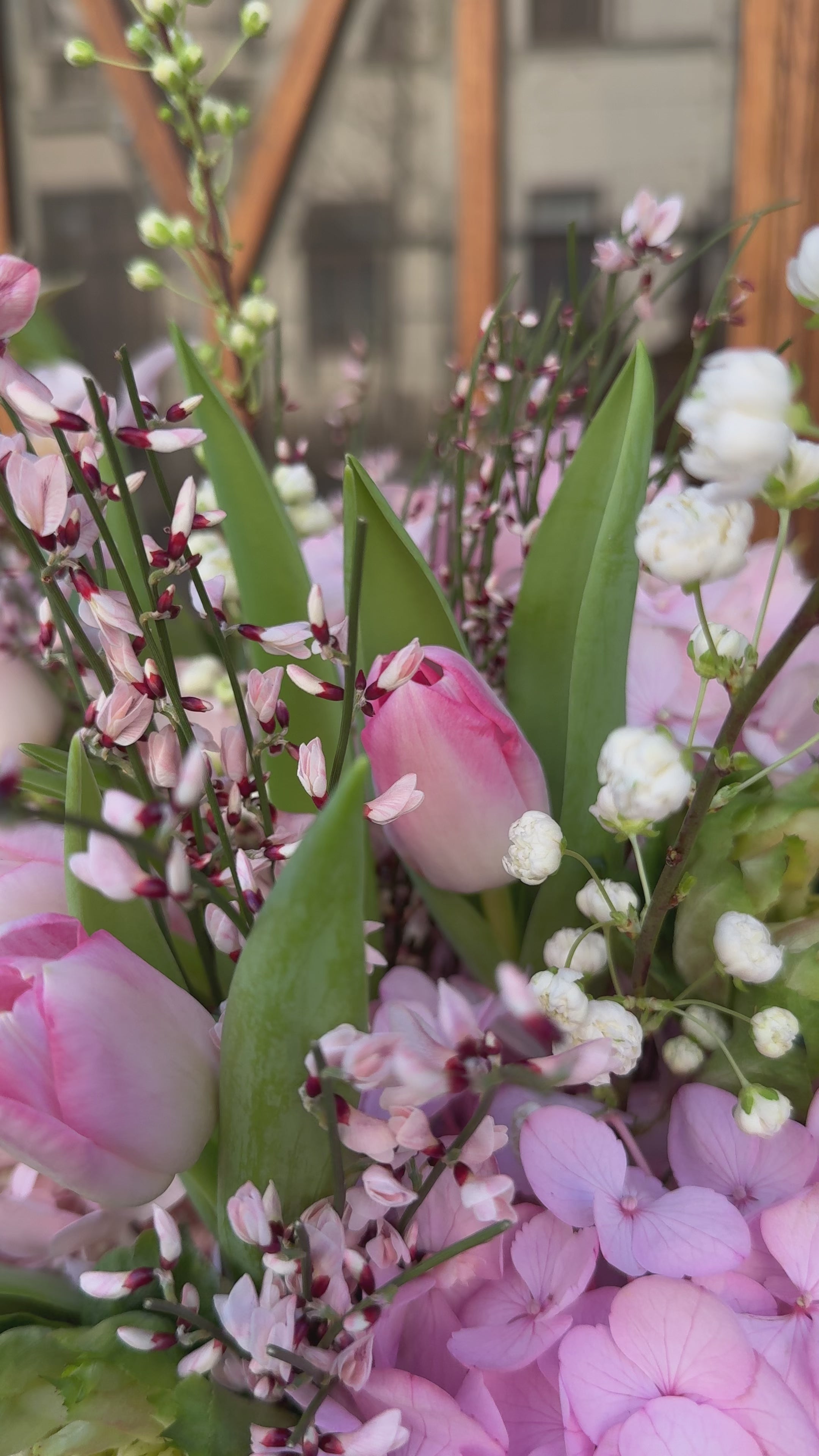 Video laden: Veggi box